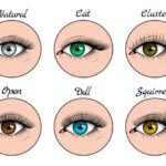 Déterminer la forme de vos yeux 