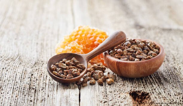 NUTRITION : COMMENT RENFORCER SON SYSTÈME IMMUNITAIRE DE FAÇON NATURELLE 10 La propolis pour l’immunité