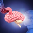 COMMENT STIMULER L’IRRIGATION SANGUINE DU CERVEAU 🔥