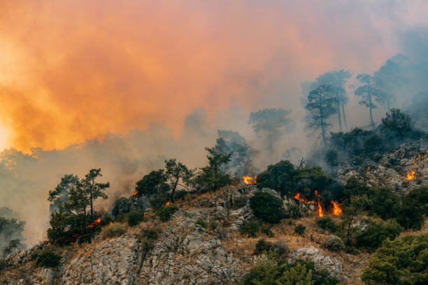 
QUI SONT LES PERSONNES LES PLUS TOUCHÉES PAR LE CHANGEMENT CLIMATIQUE ?