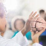 Comprendre le cerveau humain