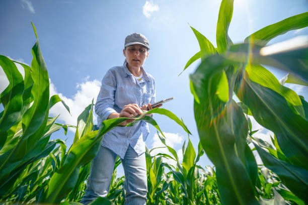 L'AGRICULTURE REGENERATIVE : UNE APPROCHE DURABLE POUR L'AVENIR 3 Impact économique de l'agriculture régénérative