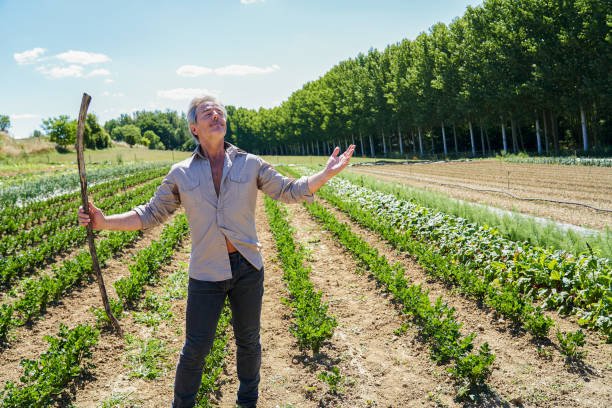 L'AGRICULTURE REGENERATIVE : UNE APPROCHE DURABLE POUR L'AVENIR 5 Impact économique de l'agriculture régénérative