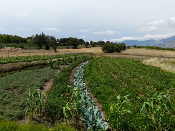 L'AGRICULTURE REGENERATIVE : UNE APPROCHE DURABLE POUR L'AVENIR 2 L'Agriculture Régénérative