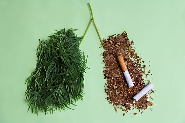 Les Étapes Préparatoires: Se Préparer Mentalement