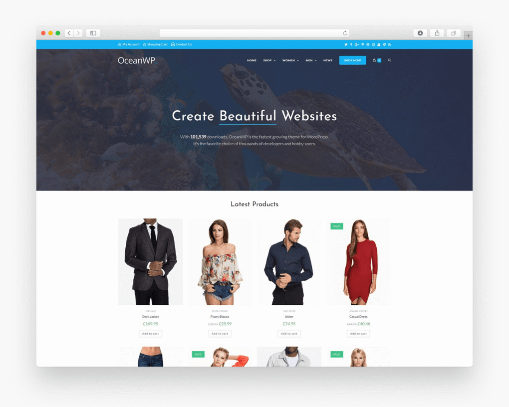 OceanWP Optimisé