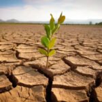 Le changement climatique