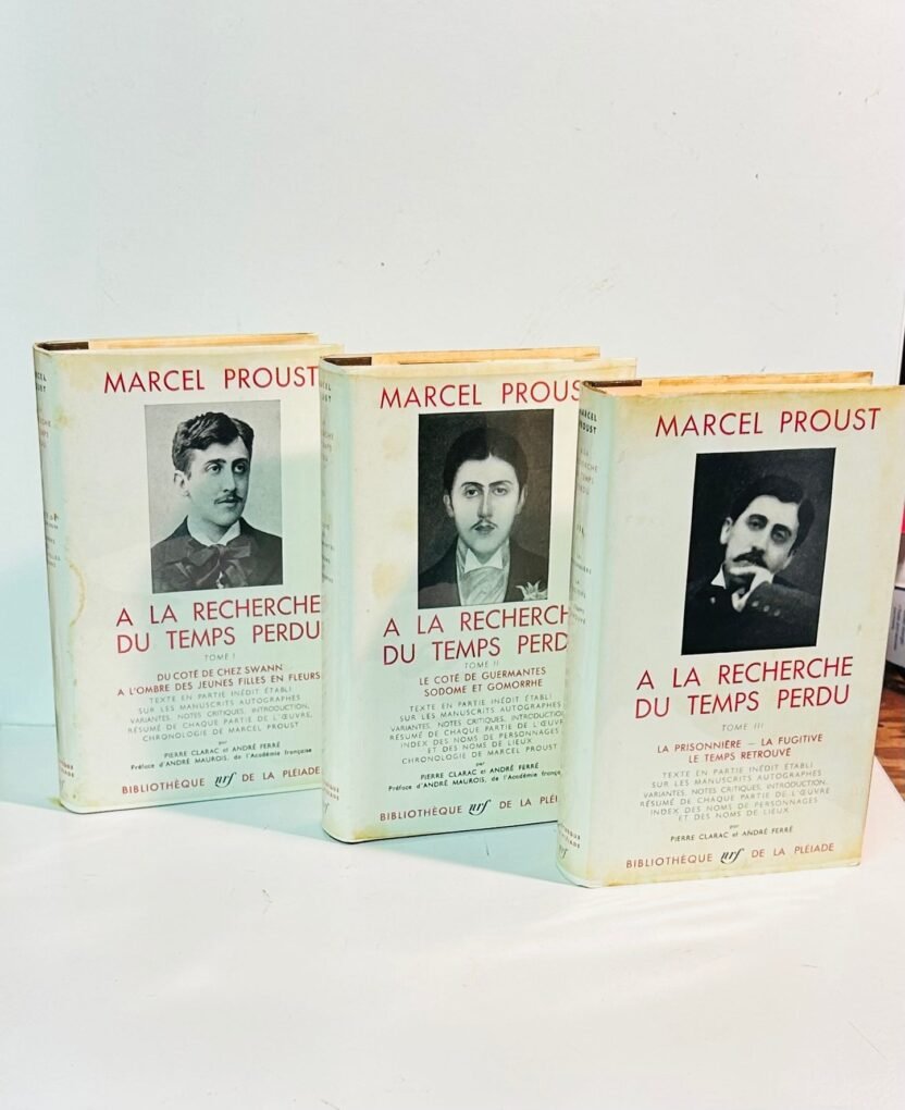 Quatrième livre incontournable : 'À la recherche du temps perdu'