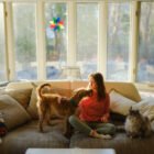 GUIDE POUR ADOPTER UN ANIMAL DE COMPAGNIE