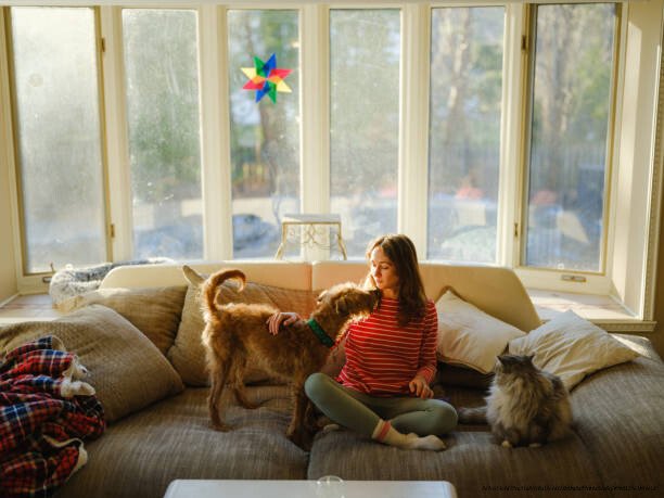 GUIDE POUR ADOPTER UN ANIMAL DE COMPAGNIE 2 Guide pour adopter un animal