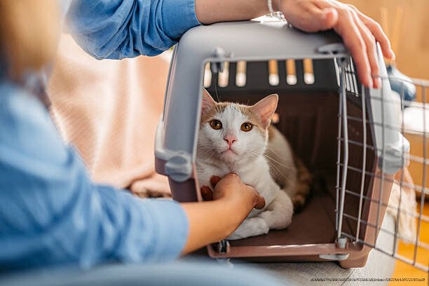 GUIDE POUR ADOPTER UN ANIMAL DE COMPAGNIE 5 Préparer votre maison pour l'arrivée d'un animal