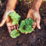 Opportunités Économiques