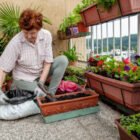 COMMENT CREER UN POTAGER SUR SON BALCON : GUIDE ETAPE PAR ETAPE POUR DEBUTANTS