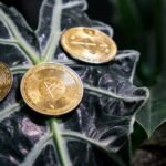 Miner des cryptomonnaies