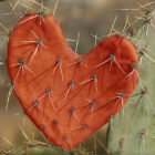 POURQUOI CERTAINES PERSONNES ATTIRENT TOUJOURS LES MAUVAISES RELATIONS