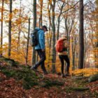 CE QUI ARRIVE AU CERVEAU QUAND ON MARCHE 30 MINUTES PAR JOUR 🔥