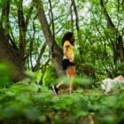 LE POUVOIR INATTENDU D’UNE SIMPLE PROMENADE 🔥