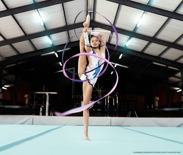 LES SECRETS D'ENTRAÎNEMENT DES CHAMPIONS OLYMPIQUES 6 investissement personnel