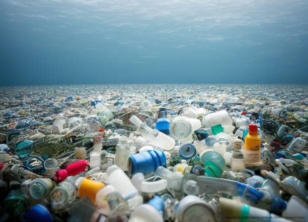 PLASTIQUE : L’ENNEMI INVISIBLE QUI EST DÉJÀ DANS VOTRE SANG 🔥