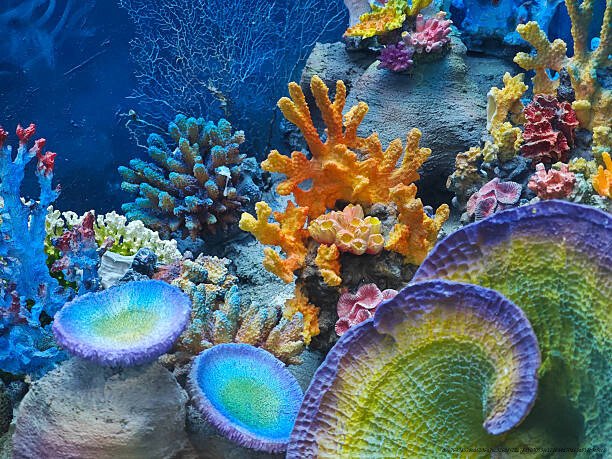 CES ENDROITS MAGIQUES QUI VONT DISPARAÎTRE DANS LES 20 PROCHAINES ANNÉES 2 Endroits magiques