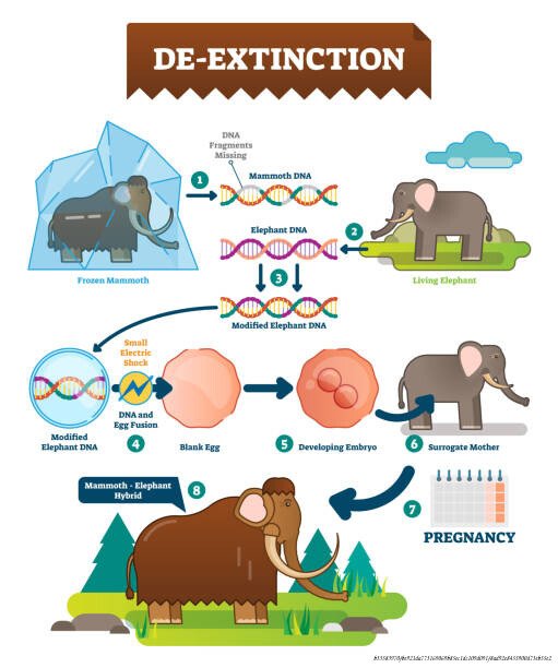 COMMENT LES SCIENTIFIQUES RECRÉENT DES ESPÈCES DISPARUES DEPUIS DES MILLÉNAIRES 2 Les scientifiques recréent