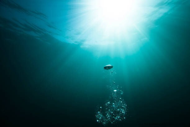LES MYSTÈRES DE L’OCÉAN PROFOND QUE LA SCIENCE N’A PAS ENCORE RÉSOLUS