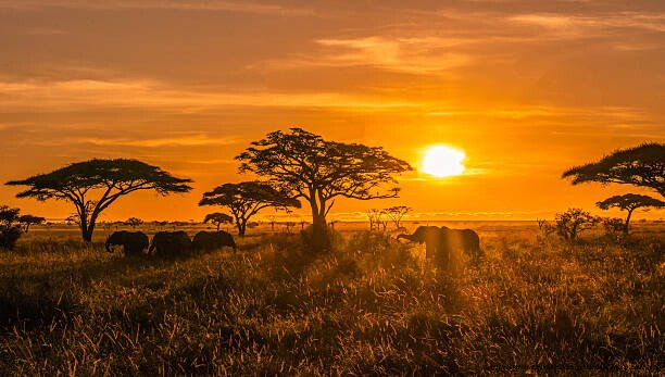 POURQUOI L’AFRIQUE EST LE CONTINENT QUE TOUTES LES PUISSANCES MONDIALES VEULENT CONTRÔLER