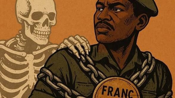 LE NÉOCOLONIALISME ÉCONOMIQUE : COMMENT L'OCCIDENT CONTRÔLE ENCORE L'AFRIQUE SANS SOLDATS 6 structure qui favorise les économies