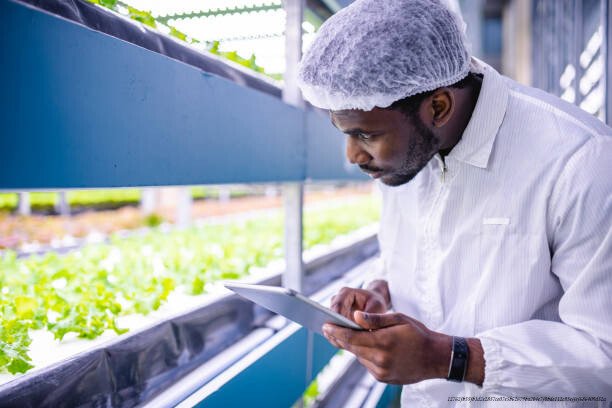 COMMENT L'IA AIDE LES AGRICULTEURS AFRICAINS À MULTIPLIER LEURS RÉCOLTES PAR TROIS 5 Secteur Technologique et l'Agriculture