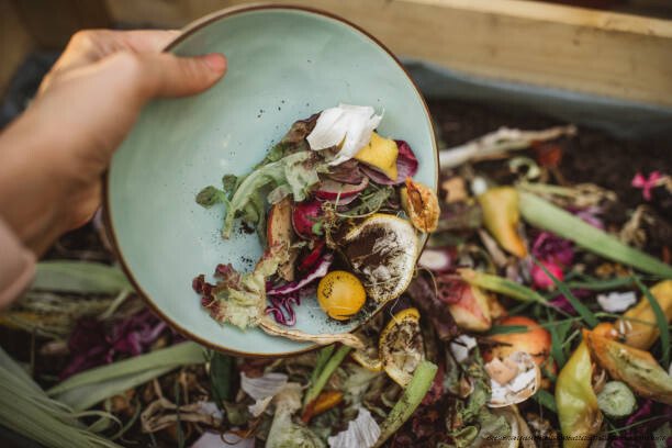 COMMENT LUTTER CONTRE LE GASPILLAGE ALIMENTAIRE EN 7 ÉTAPES 2 gaspillage alimentaire