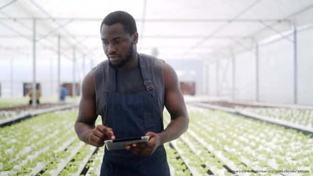 COMMENT L'IA AIDE LES AGRICULTEURS AFRICAINS À MULTIPLIER LEURS RÉCOLTES PAR TROIS 6 Recommandations