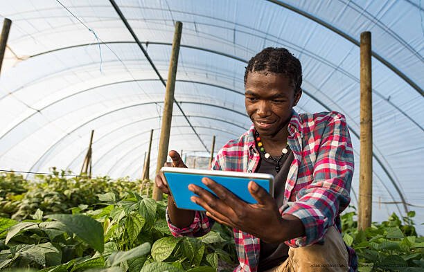 COMMENT L'IA AIDE LES AGRICULTEURS AFRICAINS À MULTIPLIER LEURS RÉCOLTES PAR TROIS 3 Témoignages d'Agriculteurs Utilisant l'IA