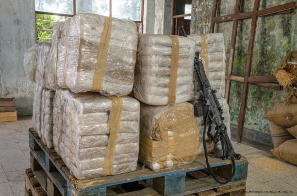 L'ASCENSION DES CARTELS DE LA DROGUE VERS DES MULTINATIONALES ORGANISÉES 5 Illegal drug production