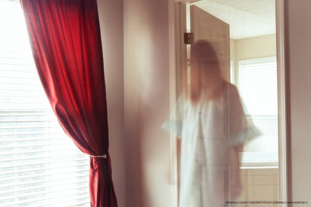 COMPRENDRE LES POLTERGEISTS : MYTHES ET RÉALITÉS 4 Comprendre les Poltergeists