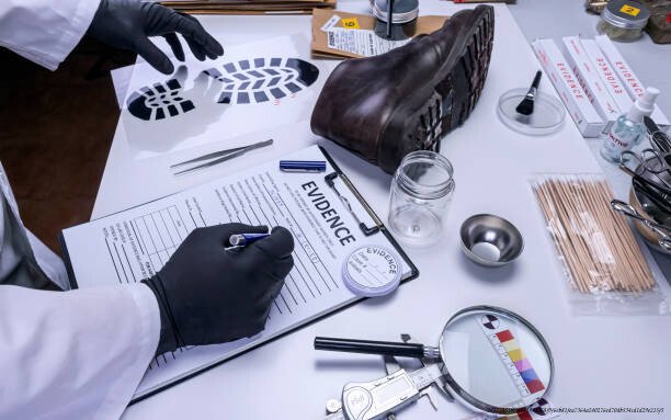 L'IMPACT DE LA SCIENCE FORENSIQUE SUR LA RÉSOLUTION DES CRIMES AU COURS DES 20 DERNIÈRES ANNÉES 3 L'impact de la psychologie criminelle
