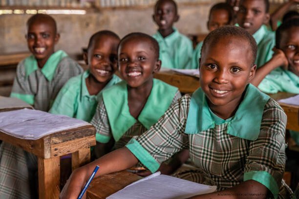 ÉCHEC DES SYSTÈMES ÉDUCATIFS OCCIDENTAUX EN AFRIQUE : UNE ANALYSE APPROFONDIE 5 Études de cas