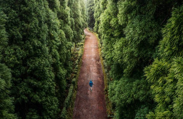 LES BIENFAITS DE LA NATURE SUR LA SANTÉ MENTALE 5 Limitations et précautions à prendre