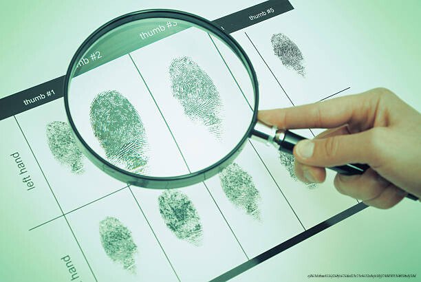 NAÎT-ON CRIMINEL OU LE DEVIENT-ON : LA RÉPONSE DÉFINITIVE DE LA SCIENCE 2 Les études génétiques sur la criminalité