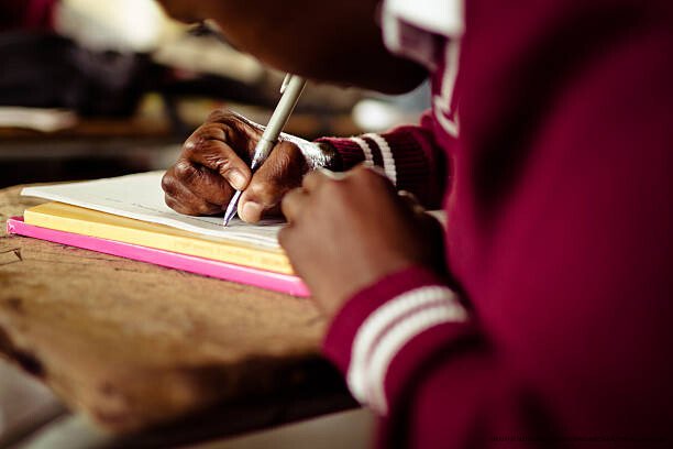 ÉCHEC DES SYSTÈMES ÉDUCATIFS OCCIDENTAUX EN AFRIQUE : UNE ANALYSE APPROFONDIE 6 Vers un système éducatif