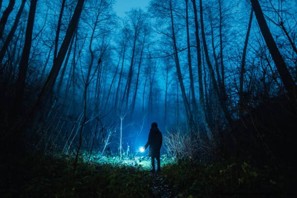 LA SCIENCE ET LES FANTÔMES : UNE EXPLORATION RATIONNELLE DES PHÉNOMÈNES PARANORMAUX 4 Man silhouette. Fog in forest