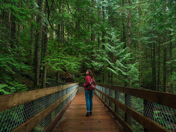 LES BIENFAITS DE LA NATURE SUR LA SANTÉ MENTALE 1 Les bienfaits de la nature